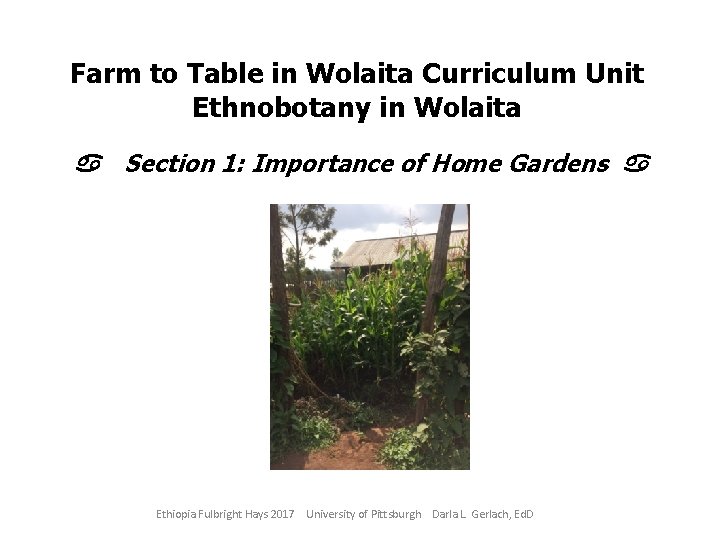 Farm to Table in Wolaita Curriculum Unit Ethnobotany in Wolaita a Section 1: Importance