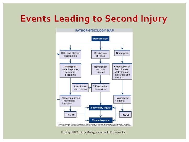Events Leading to Second Injury Copyright © 2014 by Mosby, an imprint of Elsevier