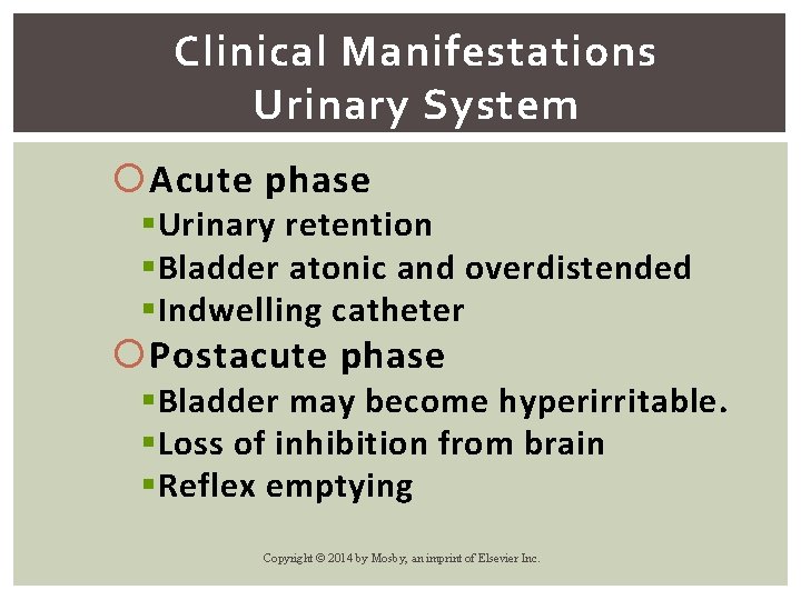 Clinical Manifestations Urinary System Acute phase § Urinary retention § Bladder atonic and overdistended