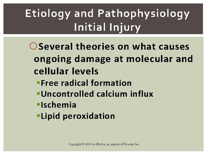 Etiology and Pathophysiology Initial Injury Several theories on what causes ongoing damage at molecular