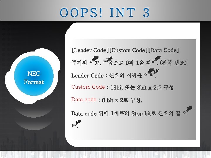 OOPS! INT 3 NEC Format Custom Code Data code 
