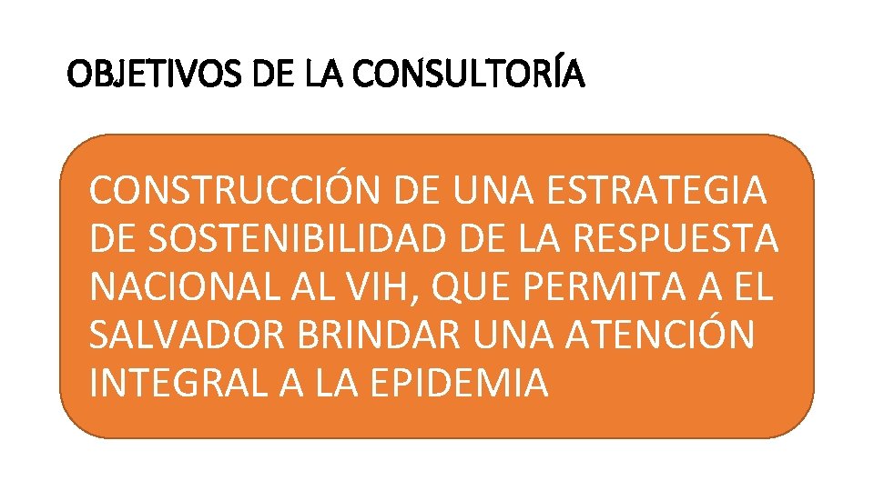 OBJETIVOS DE LA CONSULTORÍA CONSTRUCCIÓN DE UNA ESTRATEGIA DE SOSTENIBILIDAD DE LA RESPUESTA NACIONAL