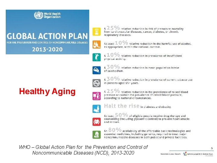 Healthy Aging WHO – Global Action Plan for the Prevention and Control of Noncommunicable