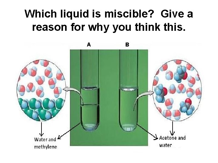 Which liquid is miscible? Give a reason for why you think this. A B
