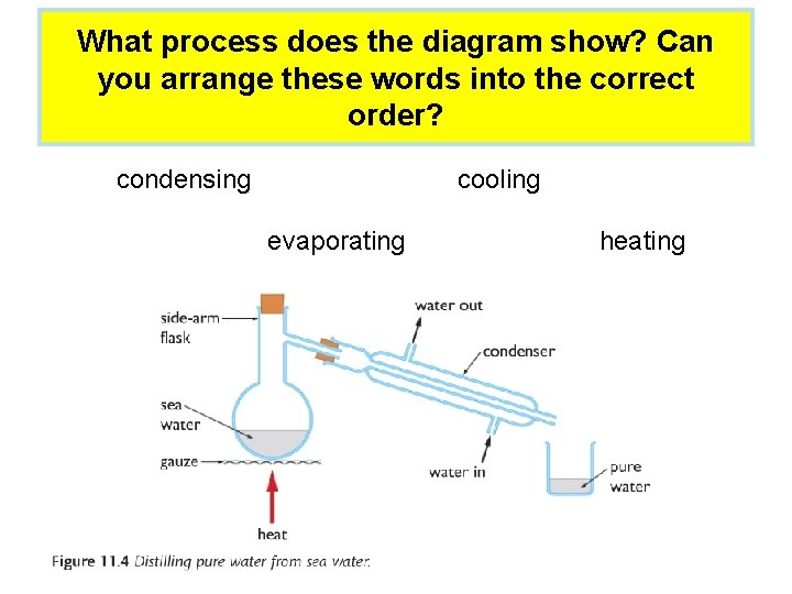 What process does the diagram show? Can you arrange these words into the correct