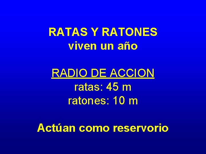 RATAS Y RATONES viven un año RADIO DE ACCION ratas: 45 m ratones: 10