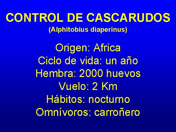 CONTROL DE CASCARUDOS (Alphitobius diaperinus) Origen: Africa Ciclo de vida: un año Hembra: 2000