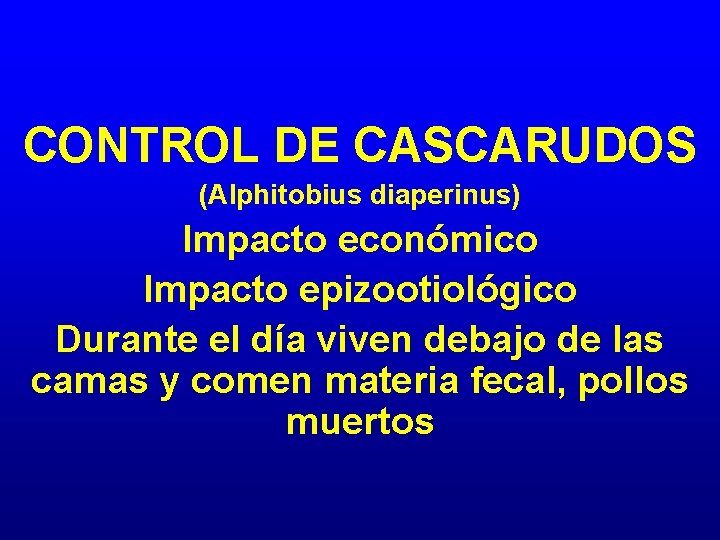 CONTROL DE CASCARUDOS (Alphitobius diaperinus) Impacto económico Impacto epizootiológico Durante el día viven debajo