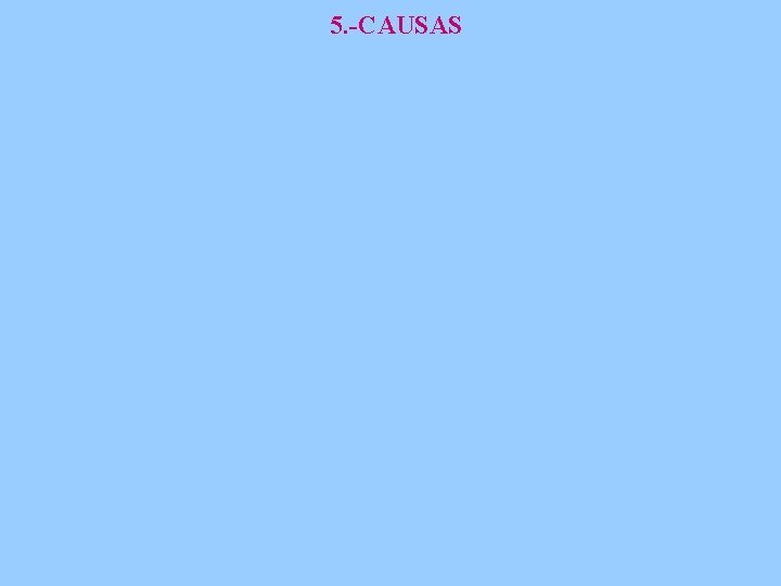 5. -CAUSAS 