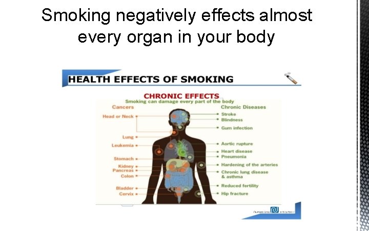 Smoking negatively effects almost every organ in your body 