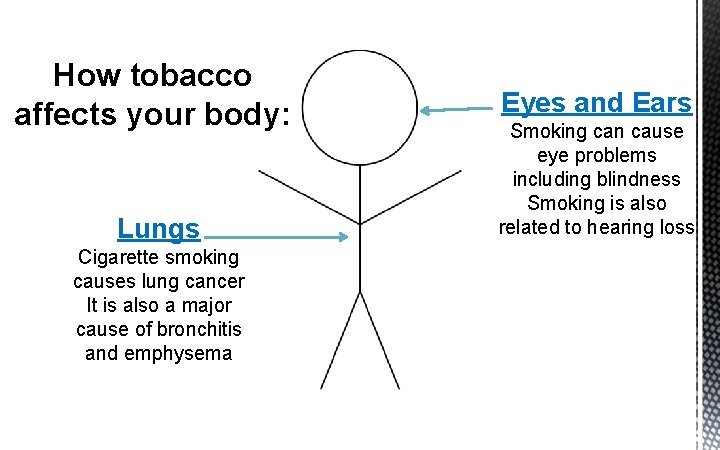 How tobacco affects your body: Lungs Cigarette smoking causes lung cancer It is also