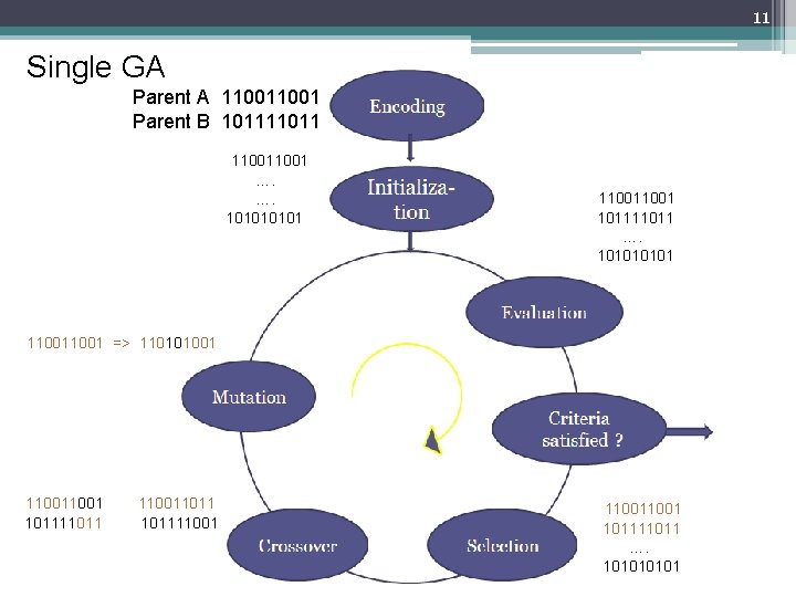 11 Single GA Parent A 11001 Parent B 101111011 11001 …. 10101 11001 101111011