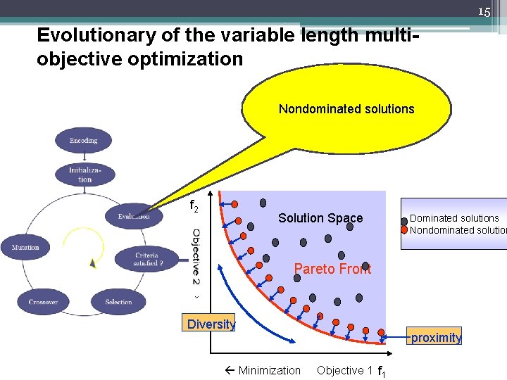 15 Evolutionary of the variable length multiobjective optimization Nondominated solutions f 2 Solution Space