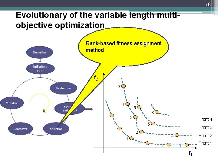 16 Evolutionary of the variable length multiobjective optimization Rank-based fitness assignment method f 2