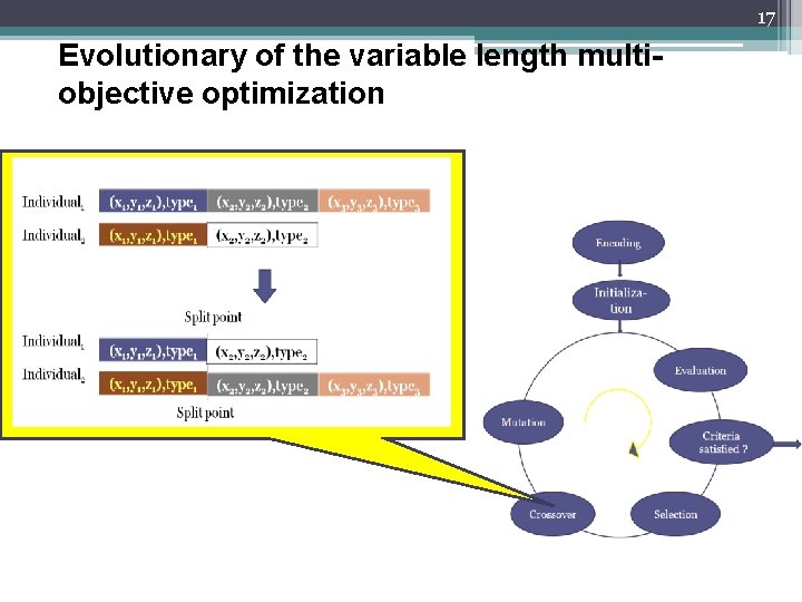 17 Evolutionary of the variable length multiobjective optimization 