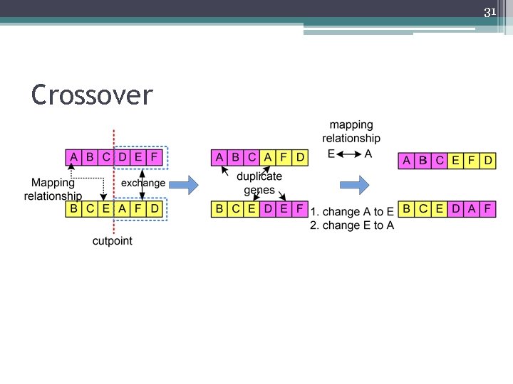 31 Crossover 