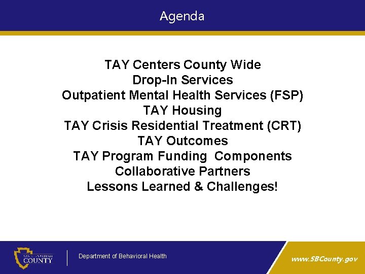 Agenda TAY Centers County Wide Drop-In Services Outpatient Mental Health Services (FSP) TAY Housing