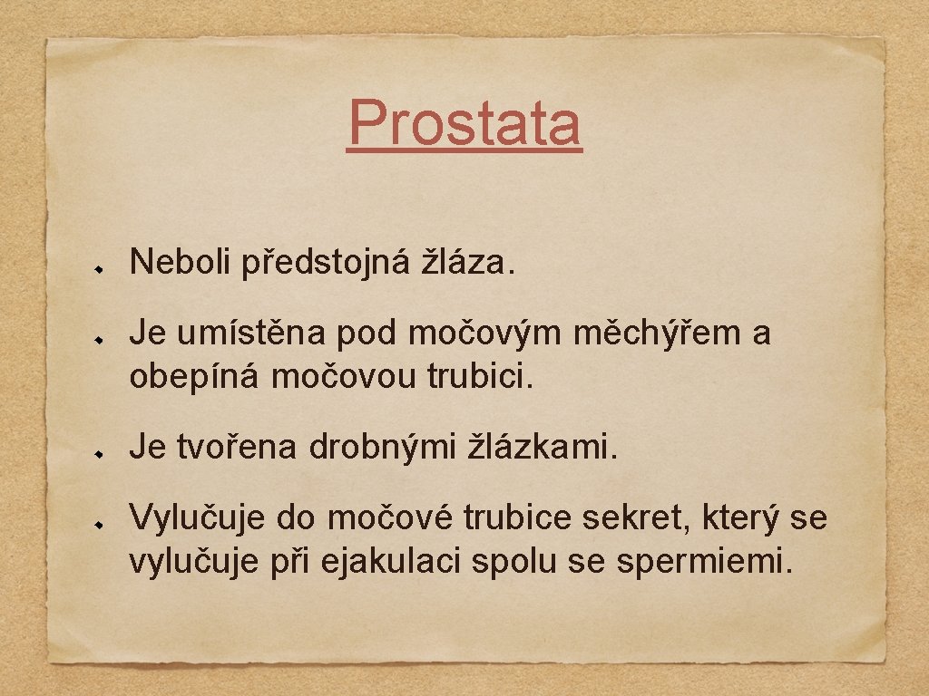 Prostata Neboli předstojná žláza. Je umístěna pod močovým měchýřem a obepíná močovou trubici. Je