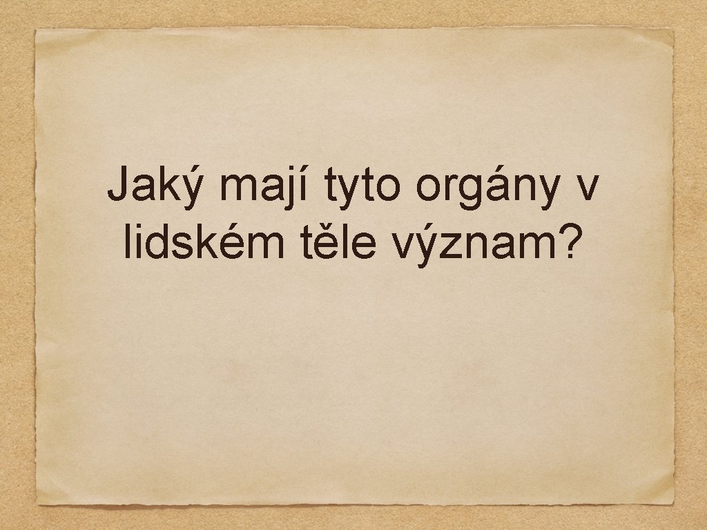 Jaký mají tyto orgány v lidském těle význam? 