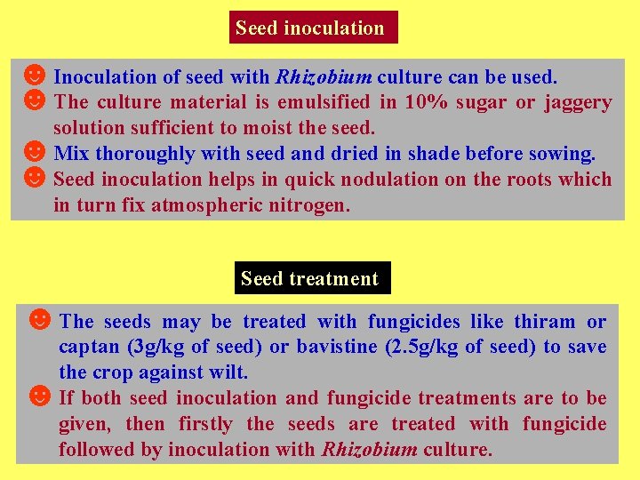 Seed inoculation ☻Inoculation of seed with Rhizobium culture can be used. ☻The culture material
