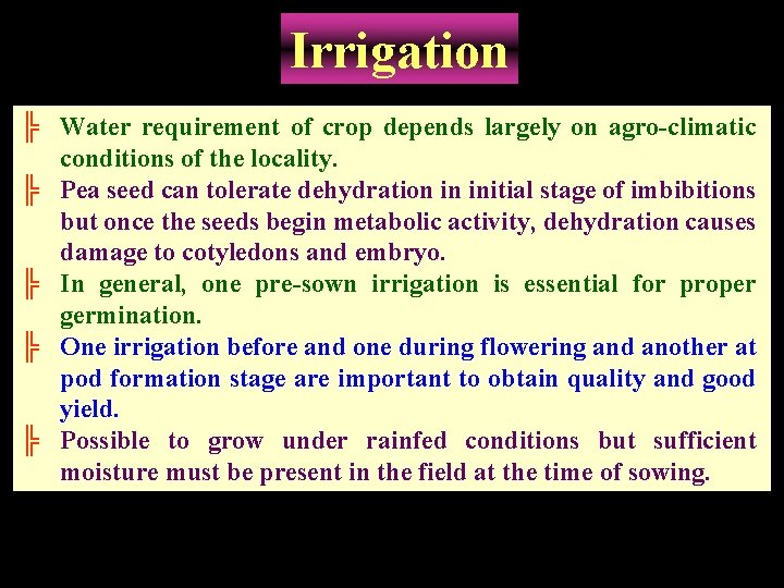 Irrigation ╠ Water requirement of crop depends largely on agro-climatic conditions of the locality.