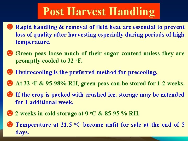 Post Harvest Handling ☻ Rapid handling & removal of field heat are essential to