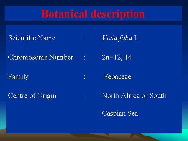 Botanical description Scientific Name : Vicia faba L. Chromosome Number : 2 n=12, 14