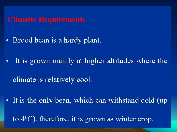 Climatic Requirements • Brood bean is a hardy plant. • It is grown mainly