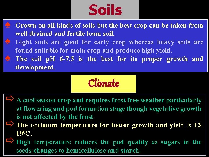 Soils ♠ ♠ ♠ Grown on all kinds of soils but the best crop