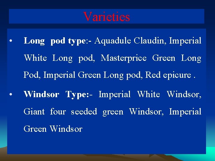 Varieties • Long pod type: - Aquadule Claudin, Imperial White Long pod, Masterprice Green