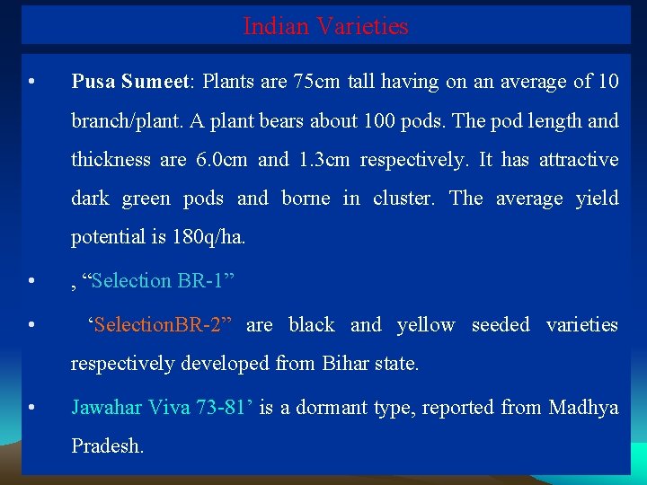 Indian Varieties • Pusa Sumeet: Plants are 75 cm tall having on an average