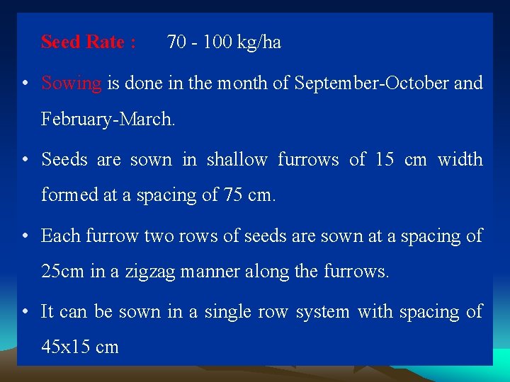 Seed Rate : 70 - 100 kg/ha • Sowing is done in the month