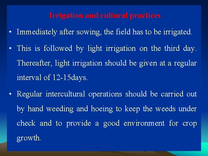 Irrigation and cultural practices • Immediately after sowing, the field has to be irrigated.