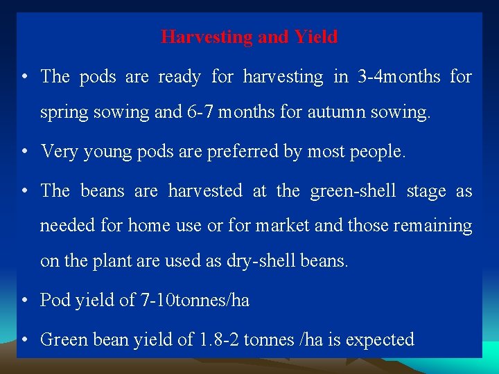 Harvesting and Yield • The pods are ready for harvesting in 3 -4 months