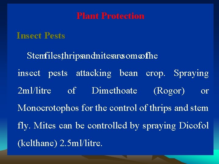 Plant Protection Insect Pests Stemfiles, thripsandmitesaresomeofthe insect pests attacking bean crop. Spraying 2 ml/litre