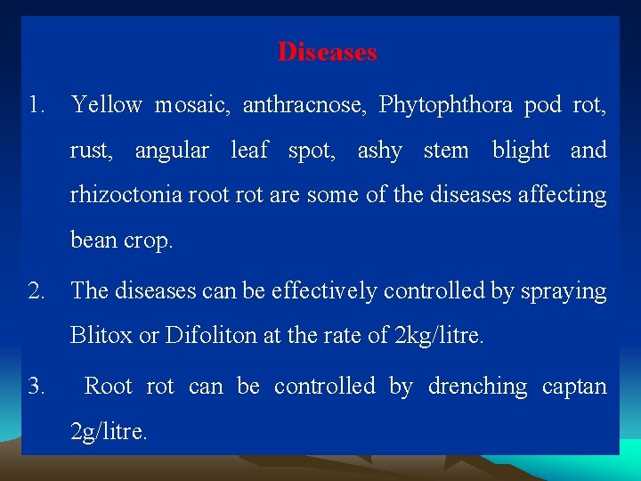 Diseases 1. Yellow mosaic, anthracnose, Phytophthora pod rot, rust, angular leaf spot, ashy stem