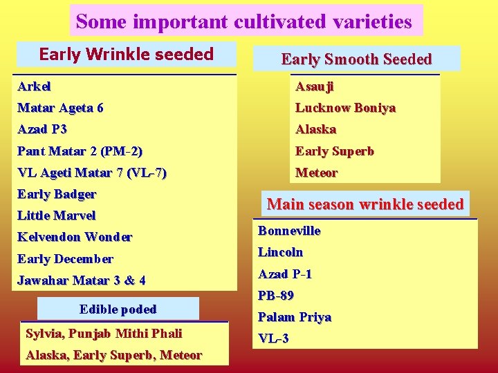 Some important cultivated varieties Early Wrinkle seeded Early Smooth Seeded Arkel Asauji Matar Ageta