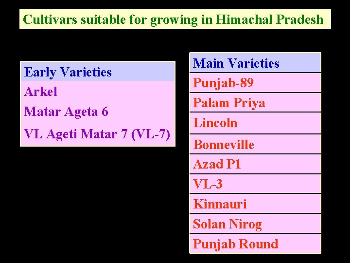 Cultivars suitable for growing in Himachal Pradesh Early Varieties Arkel Matar Ageta 6 VL