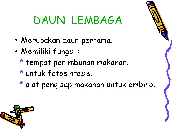 DAUN LEMBAGA • Merupakan daun pertama. • Memiliki fungsi : * tempat penimbunan makanan.