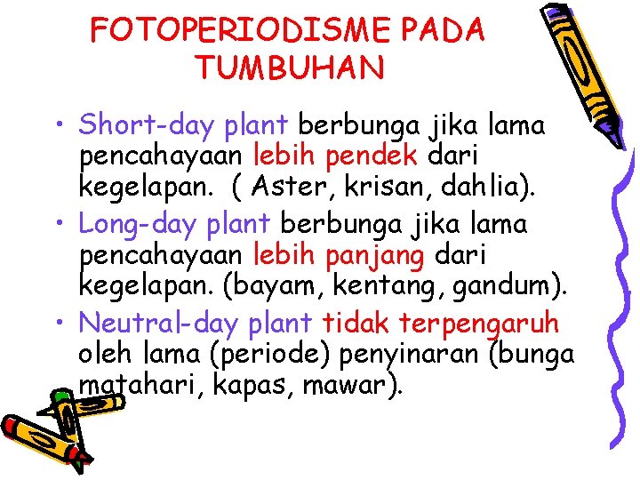 FOTOPERIODISME PADA TUMBUHAN • Short-day plant berbunga jika lama pencahayaan lebih pendek dari kegelapan.