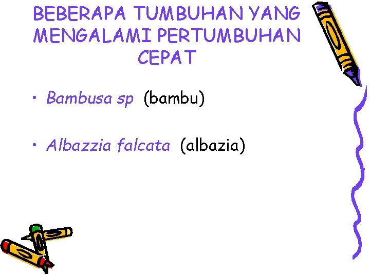 BEBERAPA TUMBUHAN YANG MENGALAMI PERTUMBUHAN CEPAT • Bambusa sp (bambu) • Albazzia falcata (albazia)