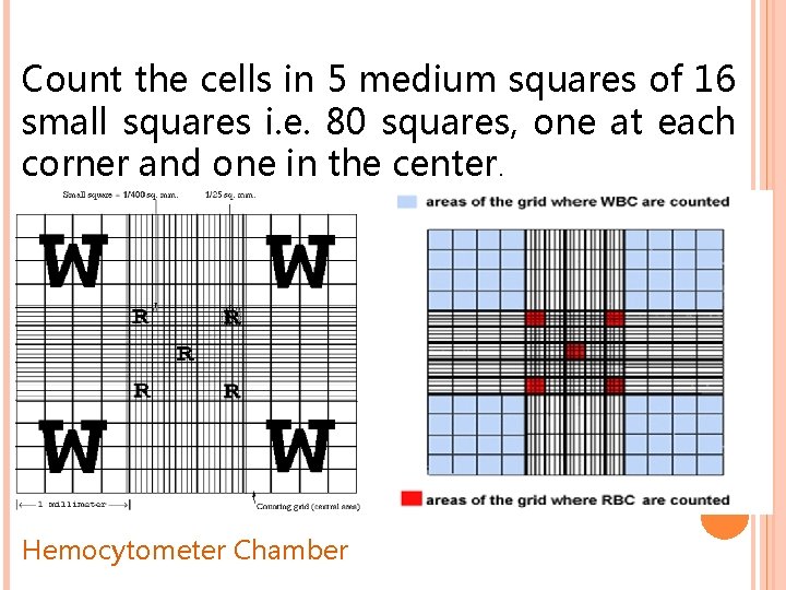 Count the cells in 5 medium squares of 16 small squares i. e. 80