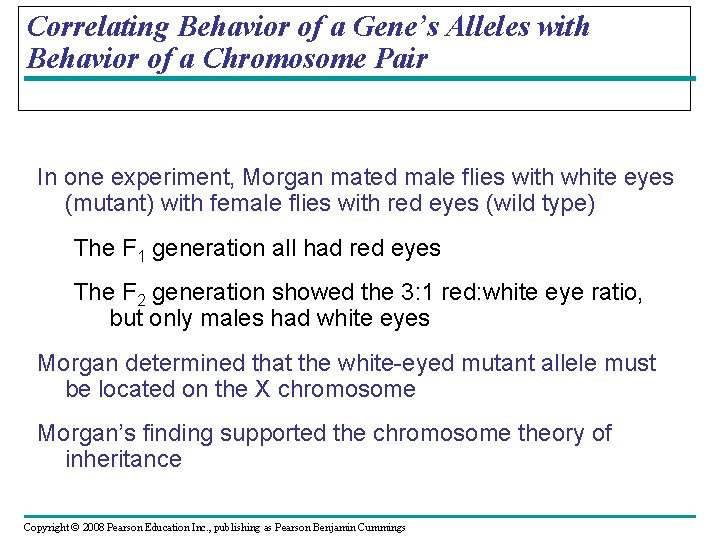 Correlating Behavior of a Gene’s Alleles with Behavior of a Chromosome Pair In one