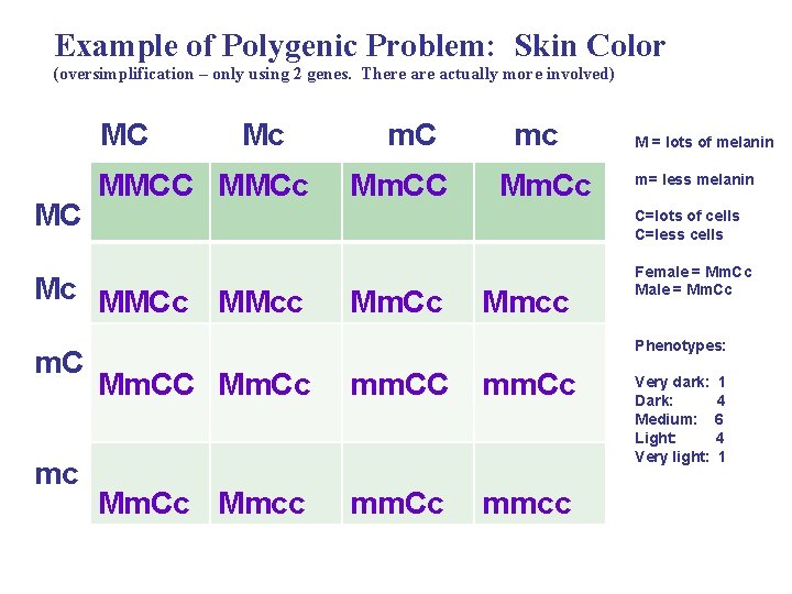 Example of Polygenic Problem: Skin Color (oversimplification – only using 2 genes. There actually