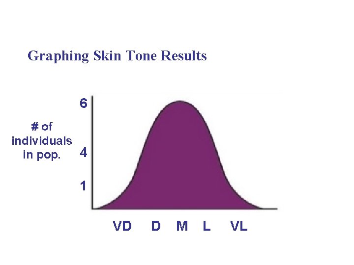 Graphing Skin Tone Results 6 # of individuals 4 in pop. 1 VD D