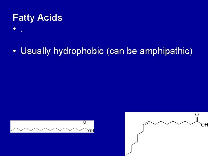 Fatty Acids • . • Usually hydrophobic (can be amphipathic) 