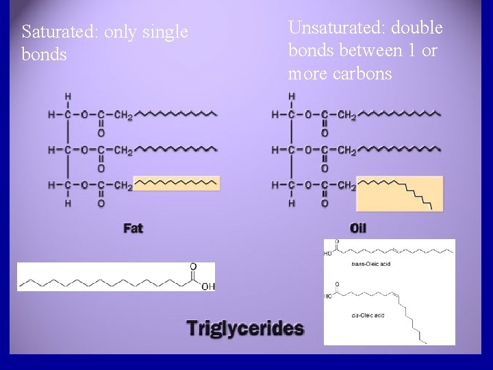Saturated: only single bonds Unsaturated: double bonds between 1 or more carbons 
