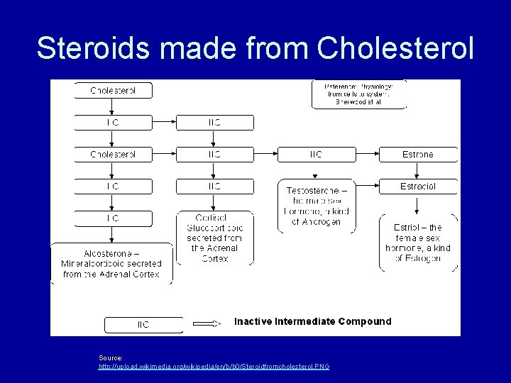 Steroids made from Cholesterol Source: http: //upload. wikimedia. org/wikipedia/en/b/b 0/Steroidfromcholesterol. PNG 