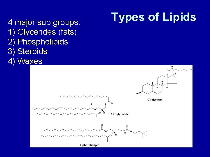 4 major sub-groups: 1) Glycerides (fats) 2) Phospholipids 3) Steroids 4) Waxes Types of