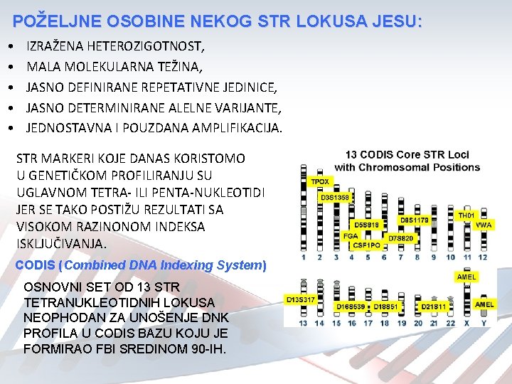 POŽELJNE OSOBINE NEKOG STR LOKUSA JESU: • • • IZRAŽENA HETEROZIGOTNOST, MALA MOLEKULARNA TEŽINA,